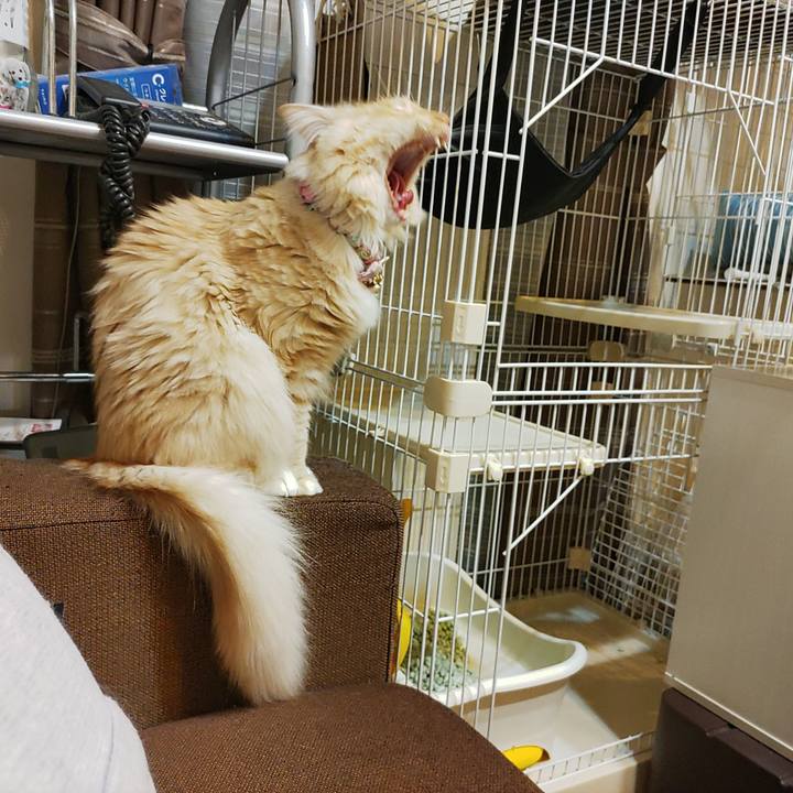 F7043724 4d97 4a3a a9a2 b24200a7d0a6 1667652251459