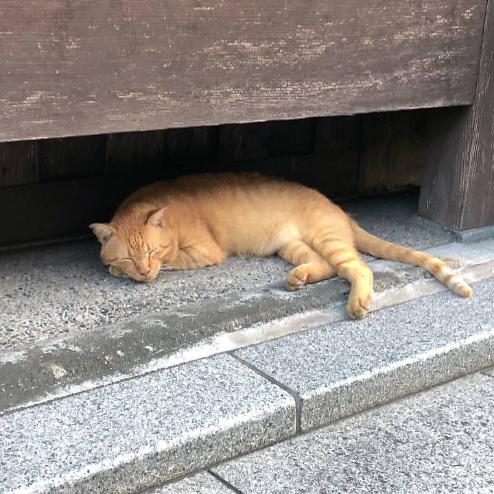 F70482cb 2d0e 4578 b167 1c20cfa3f202 1630228283670