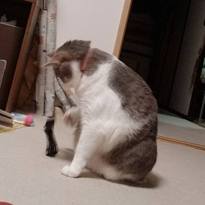 F704968c 7d47 4fa9 86b1 2b15c80926f8 1589540937608