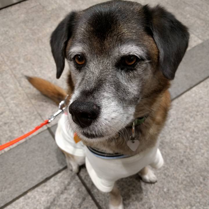 F7049a2d 1f8d 4699 9b4f 6af6f31c4e40 1515755490254