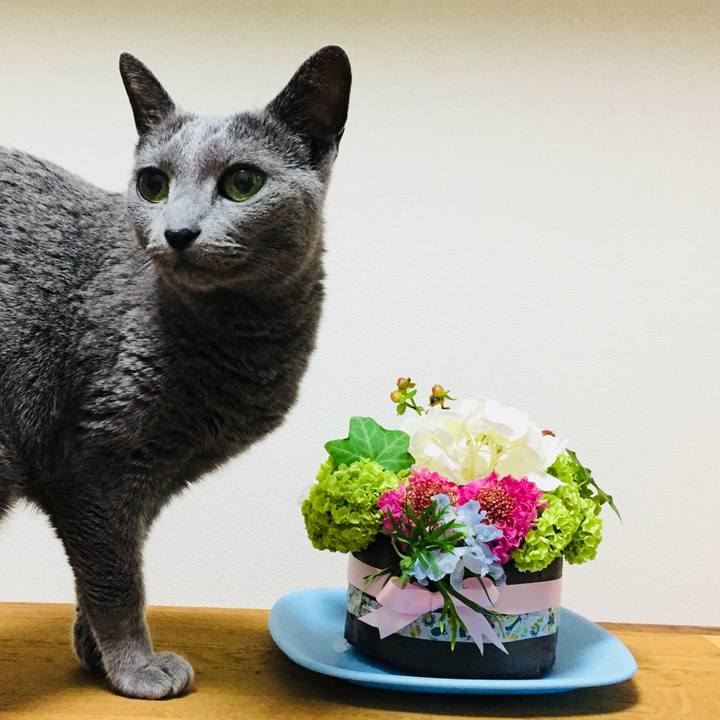 F704d6fe 009e 4450 b4d9 c79b2c5d4083 1524383874077