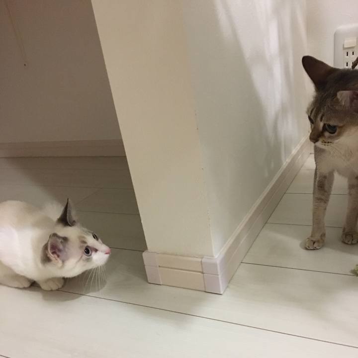 F704e693 5dd1 4b58 a04a b4814baf2844 1509165563950