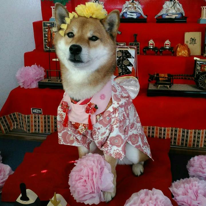 F704f5a0 1b2a 49df b307 2c7afd87015a 1520082289589