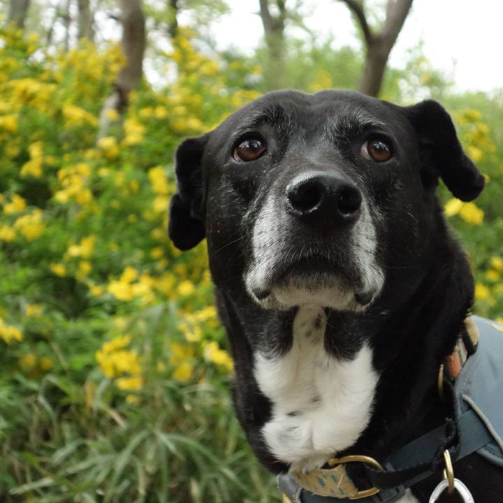 F7050f27 684e 43e9 9138 fd4ab14cd024 1744500985673