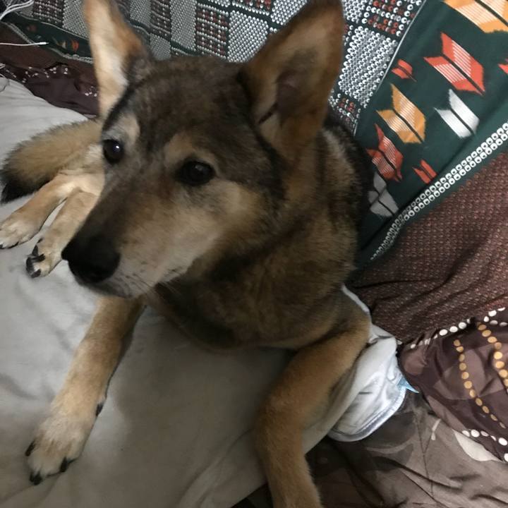 F70520b8 7657 4327 a498 b72e6f10644e 1526143151124