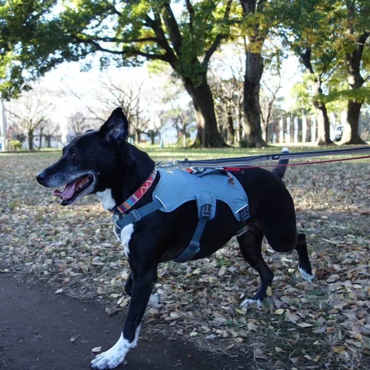 F7056b79 d69b 4370 8469 6a2088b6b4c3 1731977878535