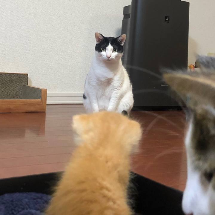 F7056dad 43f7 426f 9595 e161765c86aa 1559552953866