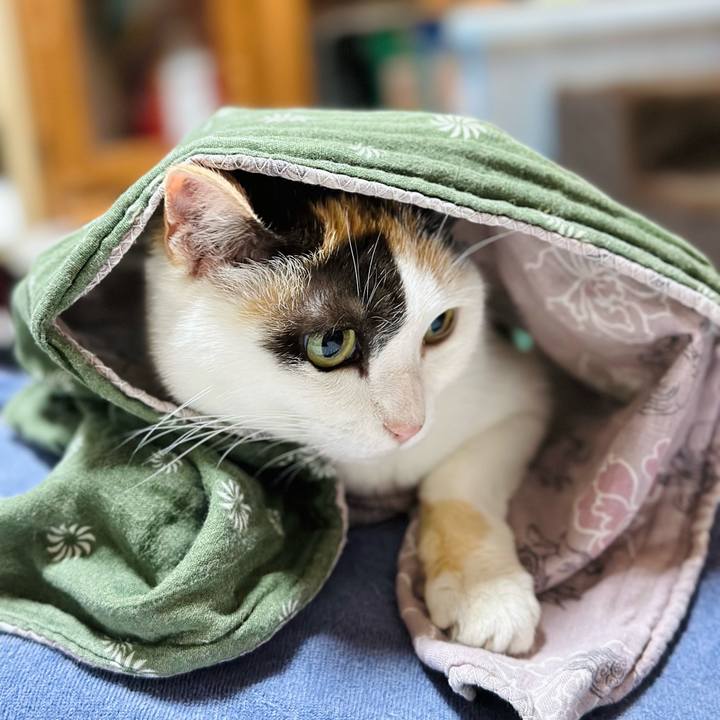 F7059d38 ebe5 403f 9354 e2ed59d8be38 1718932026044