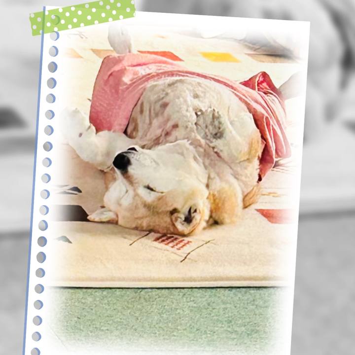 F705d89f cb7f 4bf3 89ac 3b7573d4b536 1748061896175