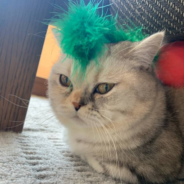 F705e511 71f3 4944 bbbc 60e61abdaa4c 1711501225592