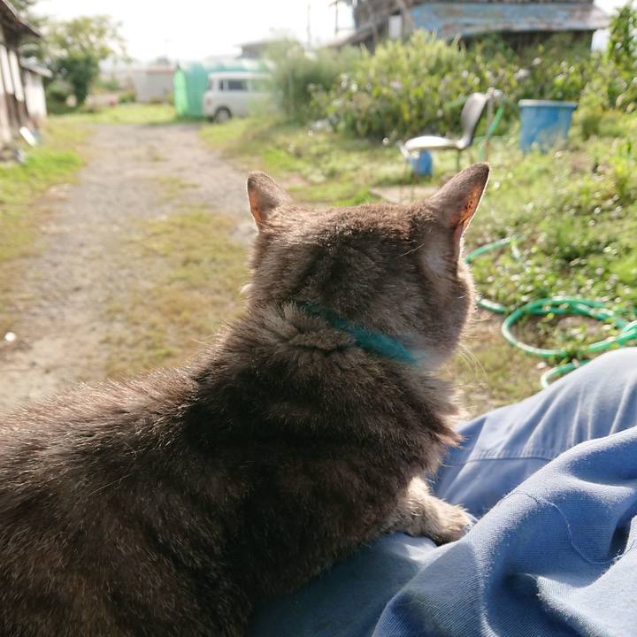 F7066e45 20e5 453e 9dba b94886d093a8 1569018852837