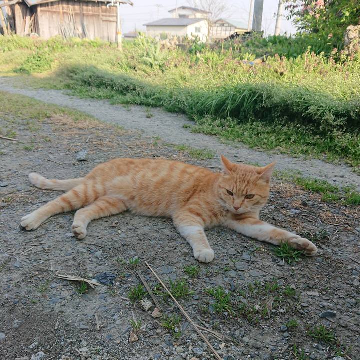 F7067c27 b1b2 4e6f 882d 3fea5452696b 1588405290086