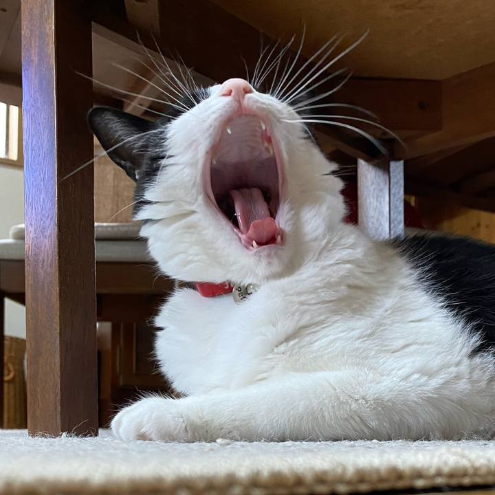 F706b6bb 3653 4581 94a1 d57ac60f4769 1604017210830