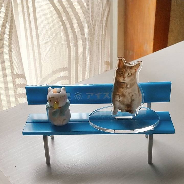 F706c484 c3fa 4ac0 a46b 451a4b733951 1716101379499