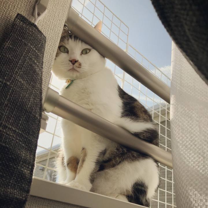 F706c6e1 823d 4090 9464 4d8019b48217 1525077959057