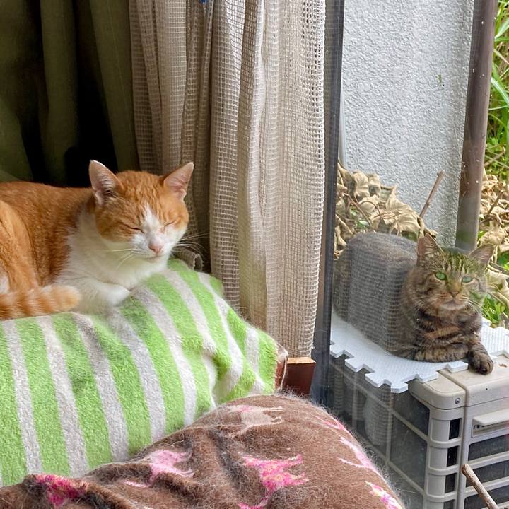 F7070002 8b59 4cbe 9ea1 372ea4ff978c 1633316709507