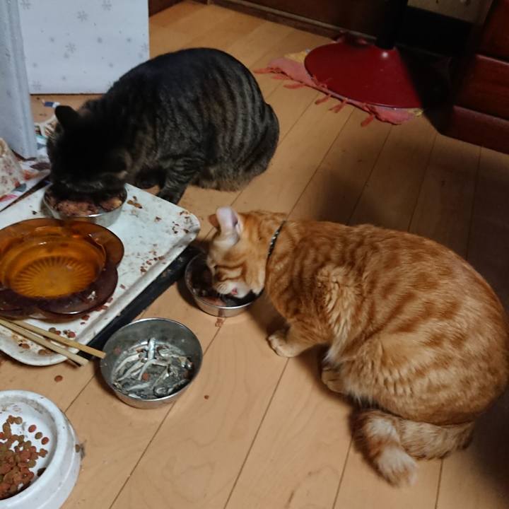 F7071541 b98c 4c38 bc9c 9160bf78c5b8 1644319472270