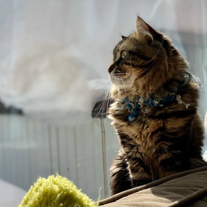 F7071784 1d8b 4865 baa9 ba19feebf417 1615507084531