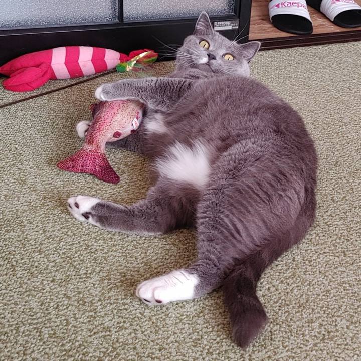 F70754d6 2817 4a15 8ce7 555bd4ac0e9f 1647046903847