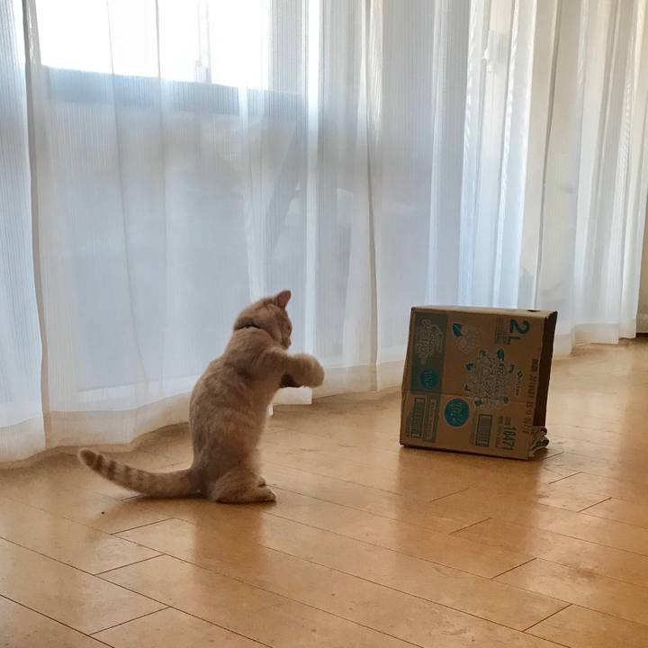 F70765c1 b28b 4e32 9597 d394ef61a7c5 1518043433198