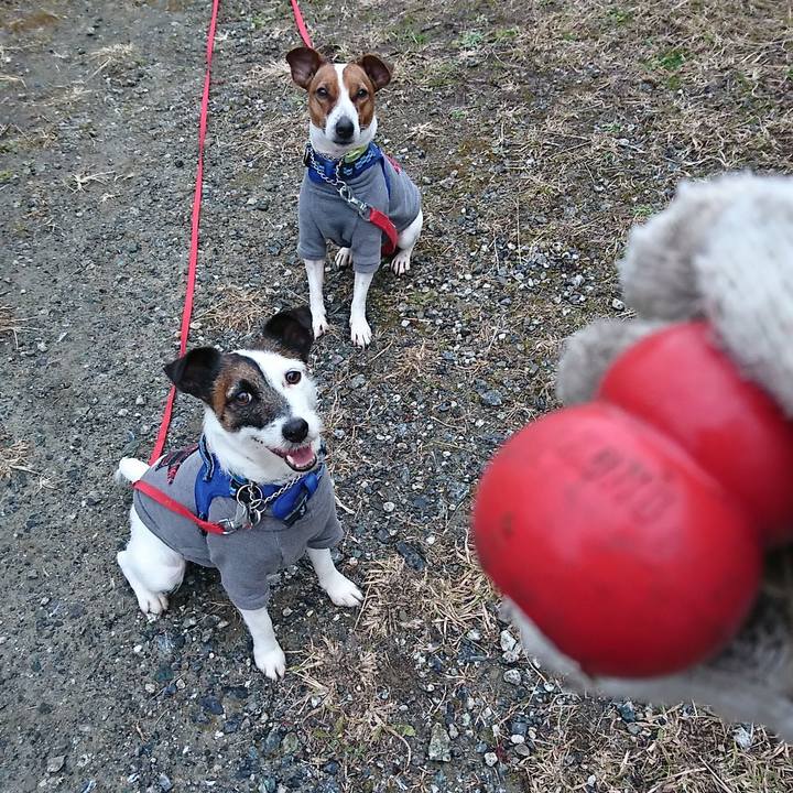 F7077cf1 f71d 44f6 a6f7 dcfb701703ab 1579737411343