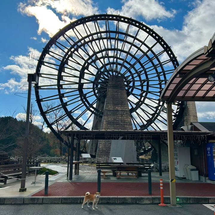 F707c833 ab5e 428c 880a a38166be9c90 1735212824105