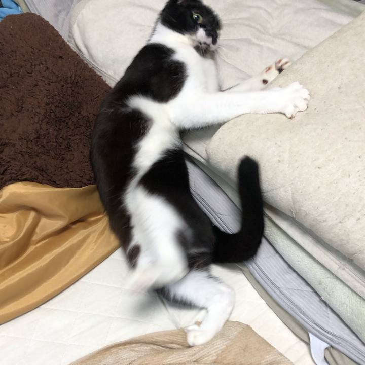 F707dab0 38b5 4256 b290 465a76f7fb7b 1634969032140