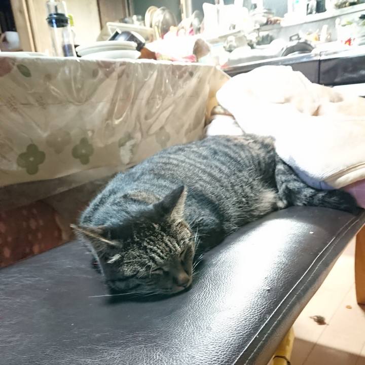 F707e7a4 b027 4ef0 920a 4cd5f357bc9a 1662205590797