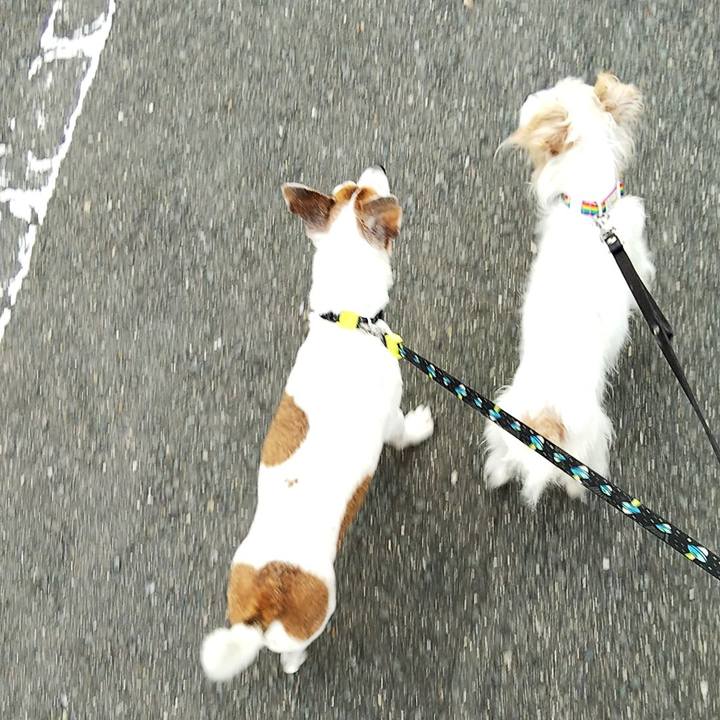 F7082212 2221 4661 8aa6 b115917387d6 1532900549793