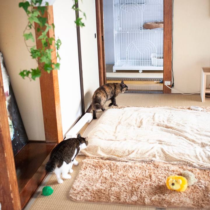 F708375c 57b4 4e50 addc e9a2ab686b5e 1579609457759