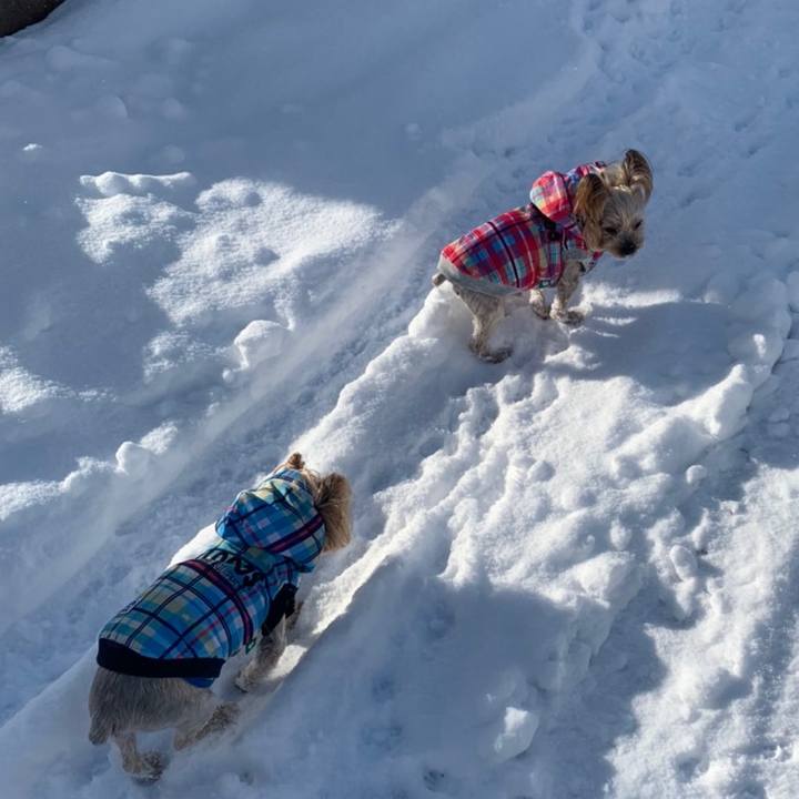 F70860c8 54d9 4d01 9614 bbb87711d0a3 1639818935813