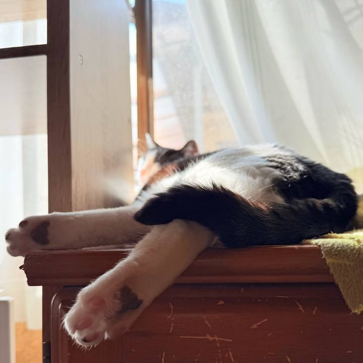 F70861c3 5af2 49f4 96c4 9b975120b0af 1745113814599