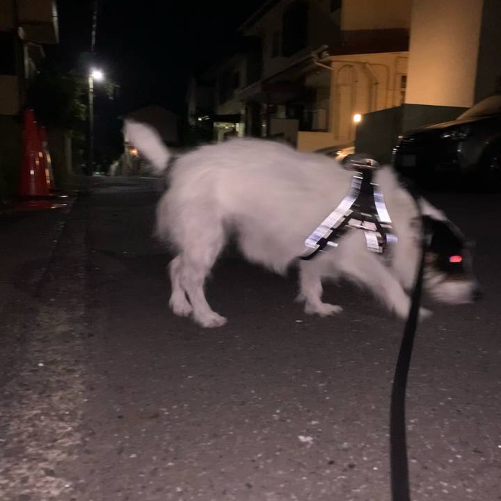 F7086ab4 895d 4af6 a1fd 74ee8d1fcd37 1654173948256