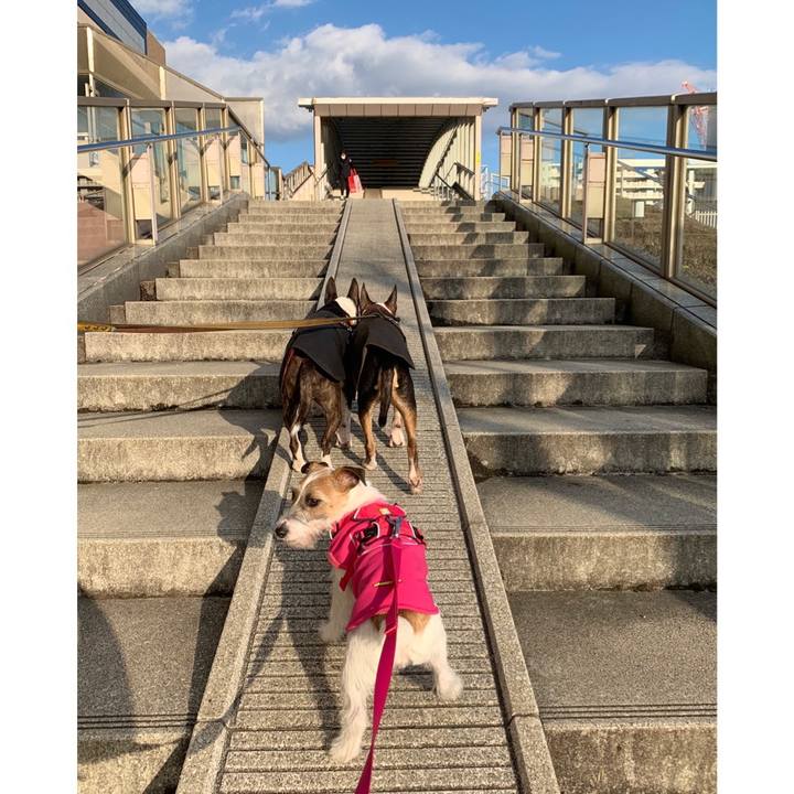 F7088afe d49e 4c77 be21 e2e677b0f4bb 1584265374818