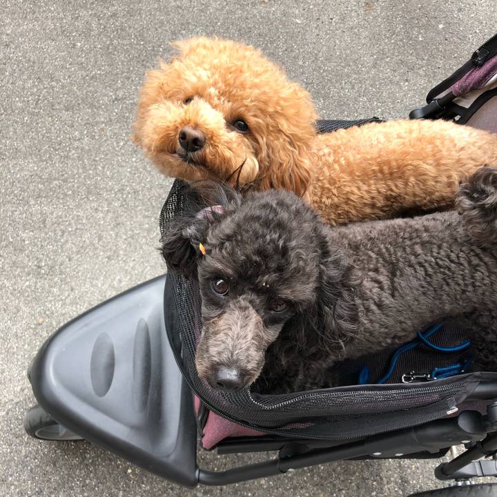 F708a358 53c1 4e10 a956 a712b497cc99 1589279009896