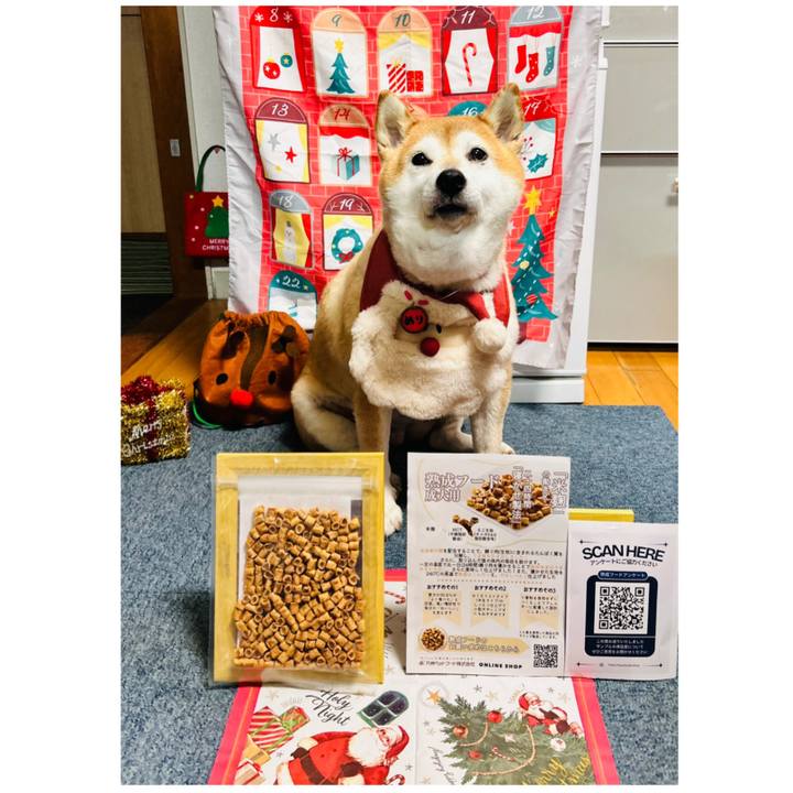 F708bb83 c2c7 41cf bc0f bd4554df7cff 1731744757948