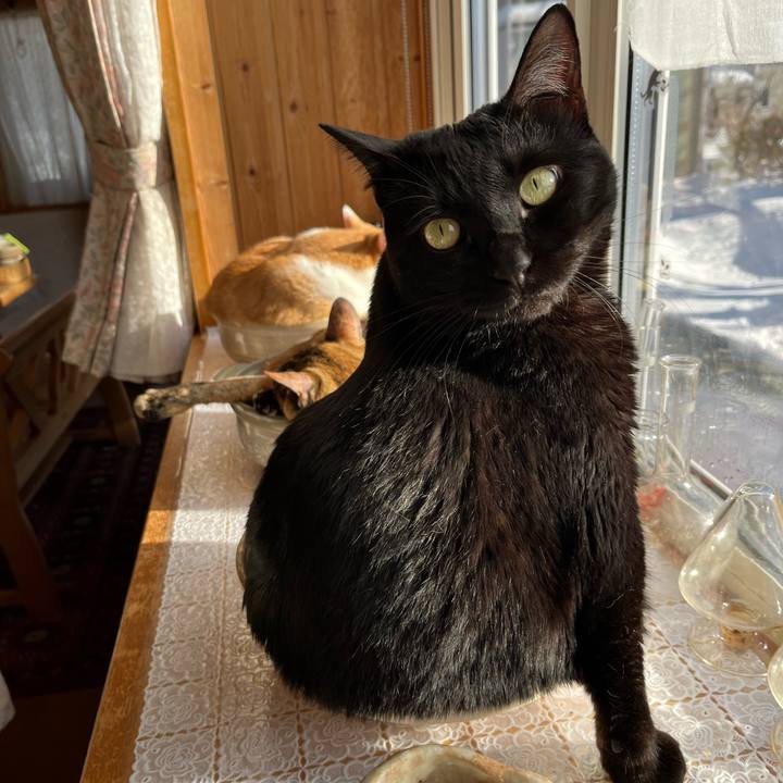 F708bbde 130b 4c14 b495 03015da3c5aa 1703033122620