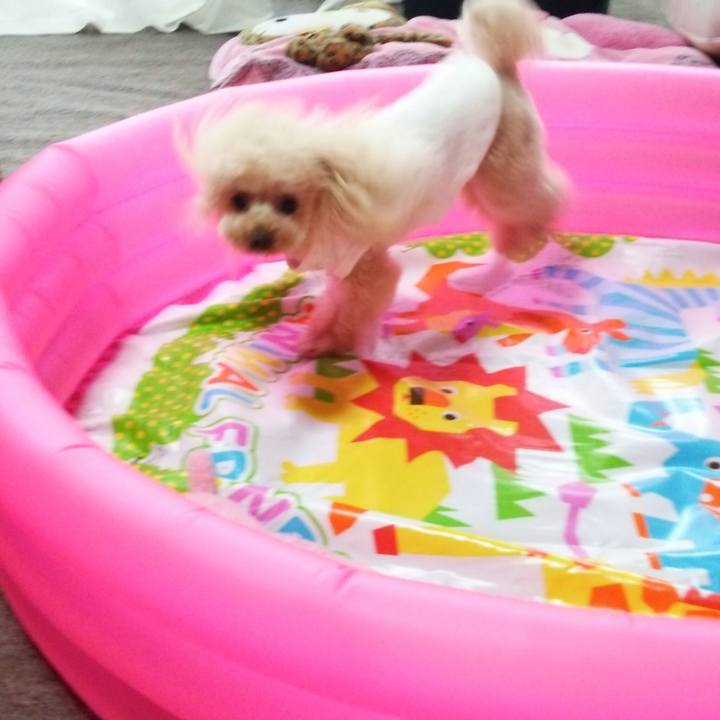 F708cf64 afcd 47be 9303 e3262d81ec8c 1531988844796