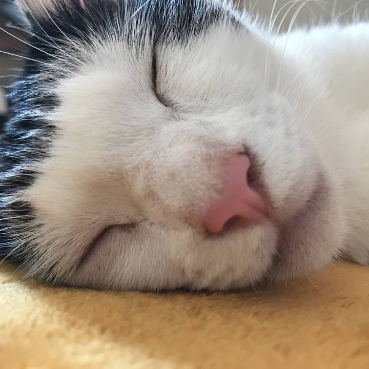 F7092da3 54cb 4768 80ca b1f465ed3f93 1531445872687