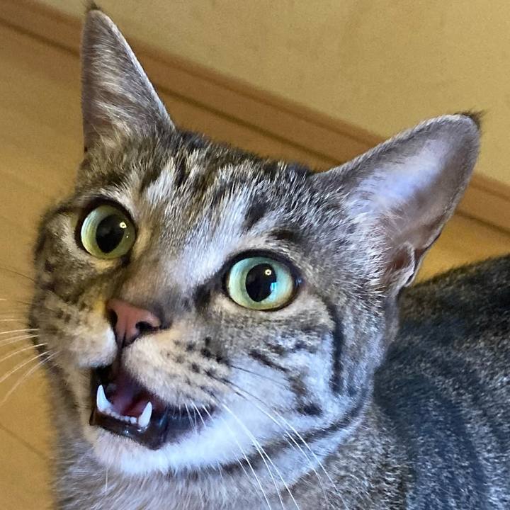 F7094c46 dff9 4e0b 9447 f17bd68ad14b 1615411050200