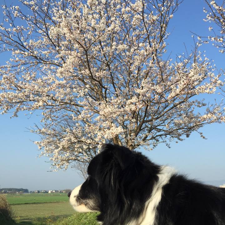 F7096dcb f5e9 423f 9c62 1e3f32f8b88f 1522190749684