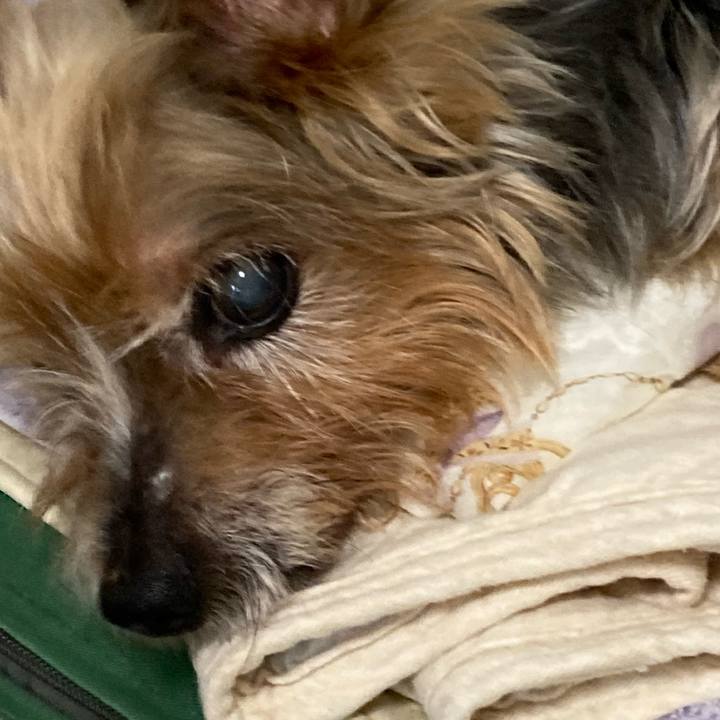 F709734d 4f3e 4f0f ab69 90e015881efe 1700651856019