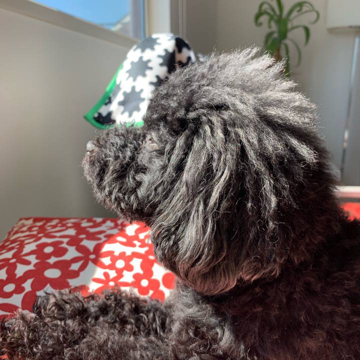 F7098410 5344 45ac a2f6 f46fcf7b6da0 1553389936564