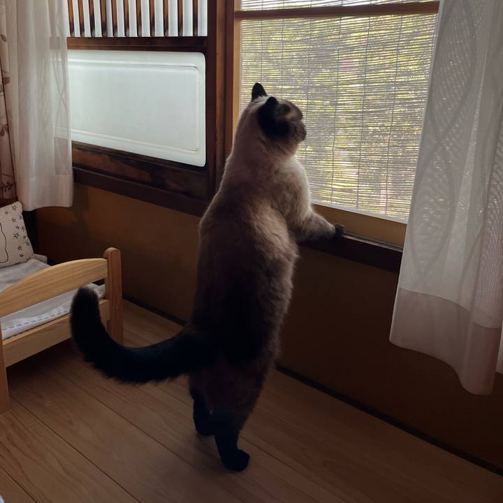 F7099435 3d18 4279 bf80 ccd1aed913e3 1651455290275