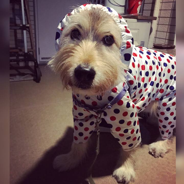 F709a00b 85ec 4317 9248 62fdc04e1e04 1650564779363