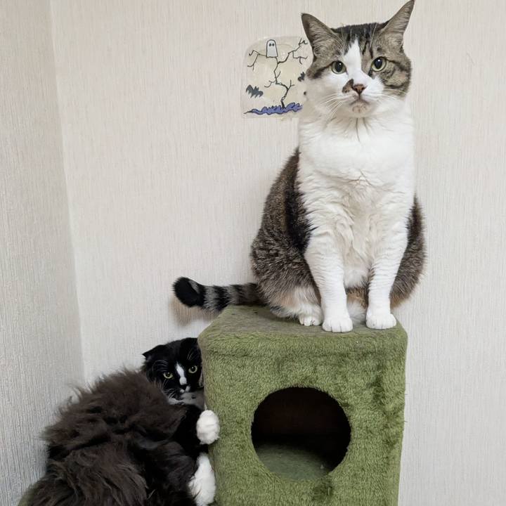 F709b4dd c64b 45eb be64 6f38dbdf500f 1739311932919