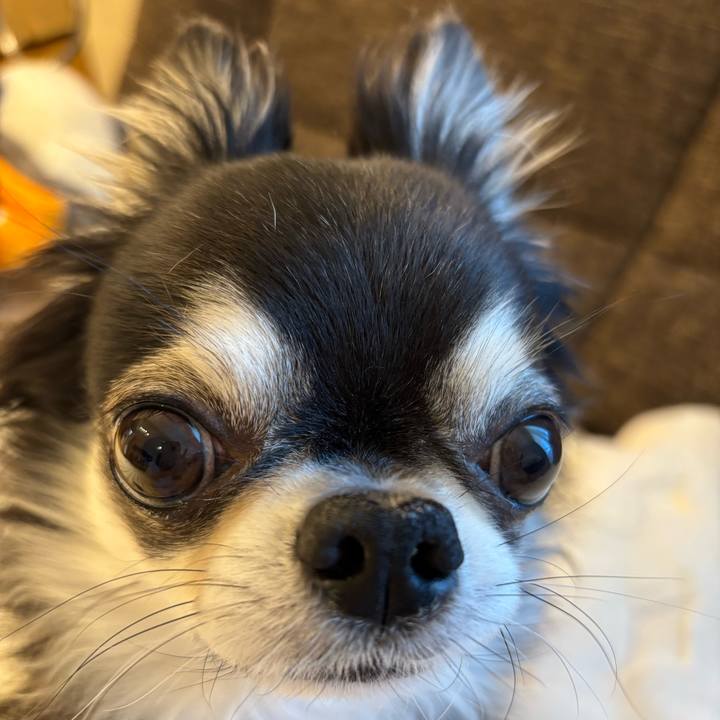 F709b64d 17be 4483 9f79 a04fcb0070f6 1734740326156