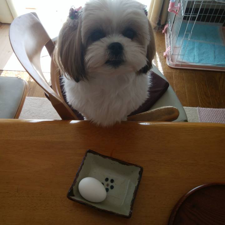 F709cc00 708b 4d88 a20e 160004c9b9d8 1520651524050