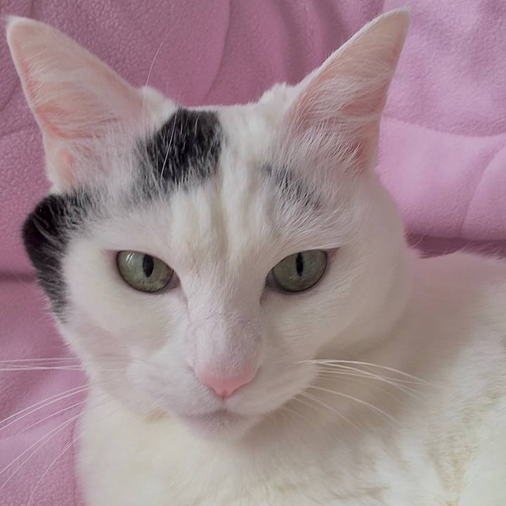 F709e456 e716 4f5b 98e4 d74983d526e5 1582881360846