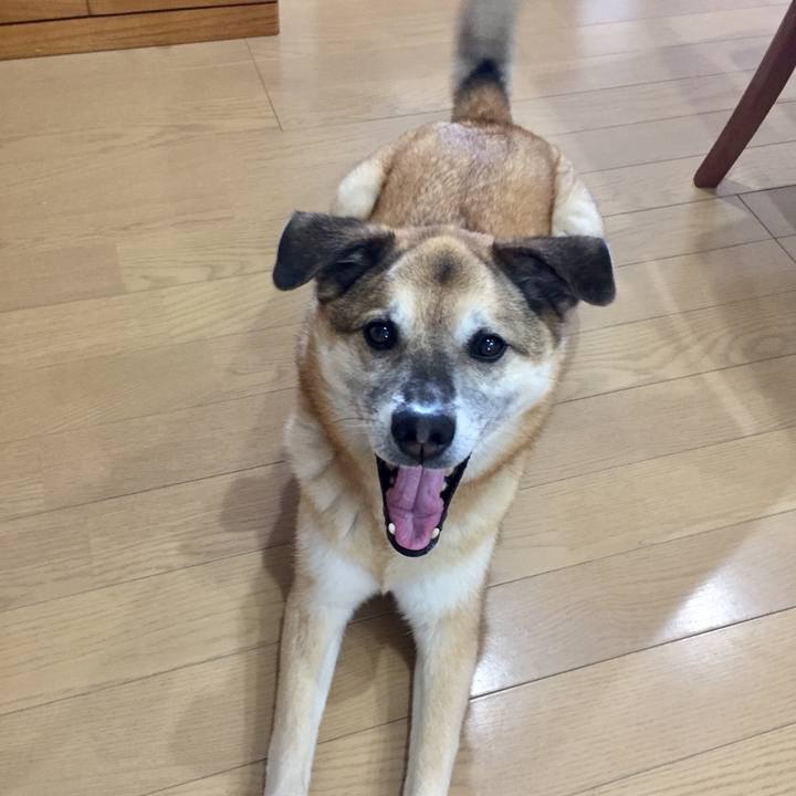 F709fe99 b4a9 4dd1 b61e 8139d48c486c 1588405911646